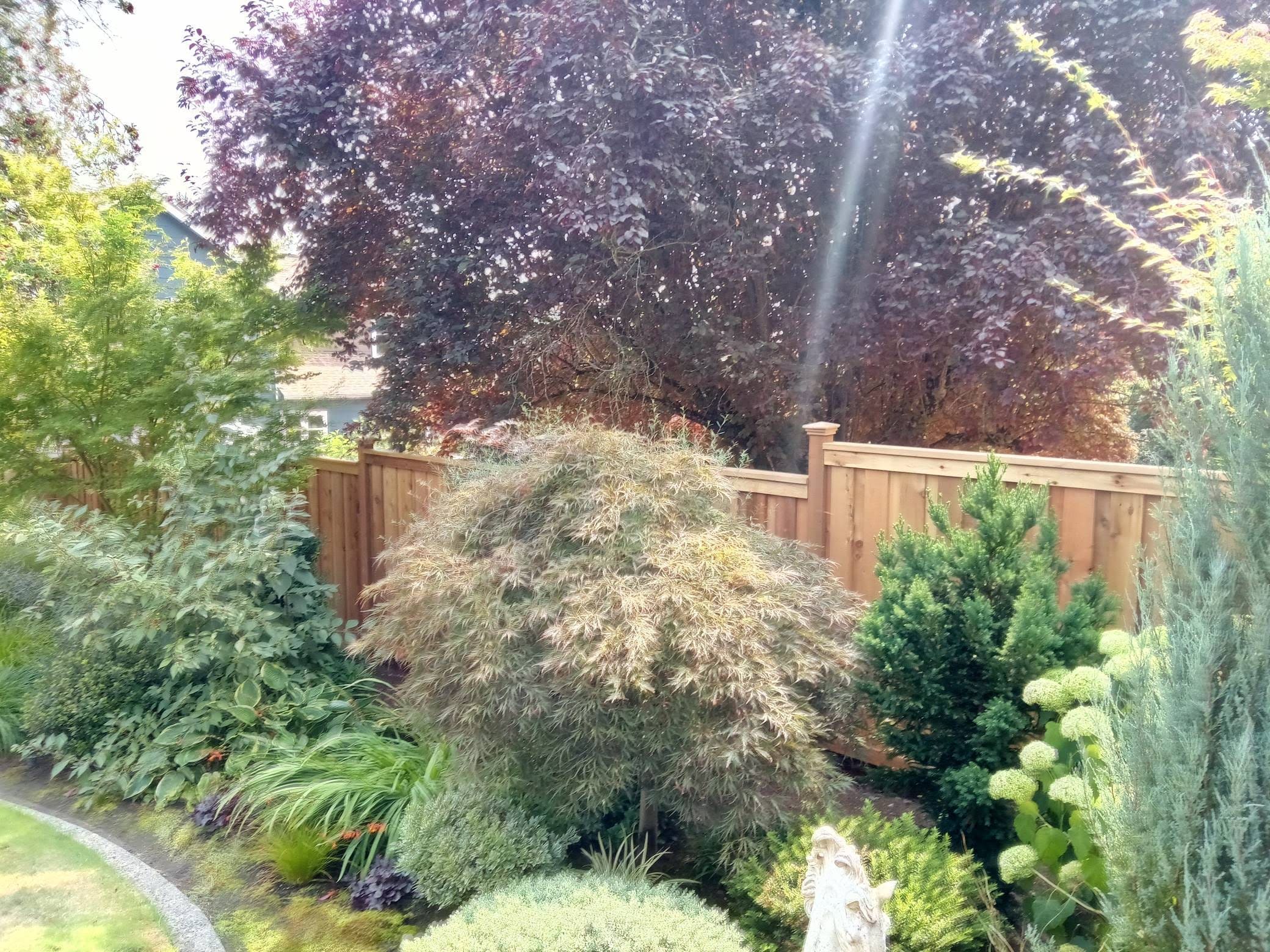 HedgeHunters client-supplied project photo 6
